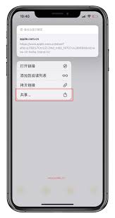 iPhone高效访问网页链接的五大技巧：为什么它能提升你的使用体验？