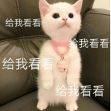 艾格勒姆星域重大更新：旧帝国神舰免费获取与探险玩法深度攻略解析