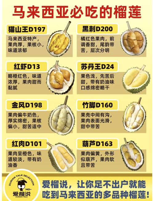 榴莲爱好者必看！国内热门榴莲品种资源全解析（附高清图鉴）