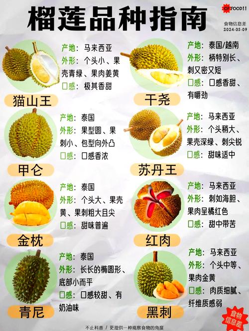 榴莲爱好者必看！国内热门榴莲品种资源全解析（附高清图鉴）