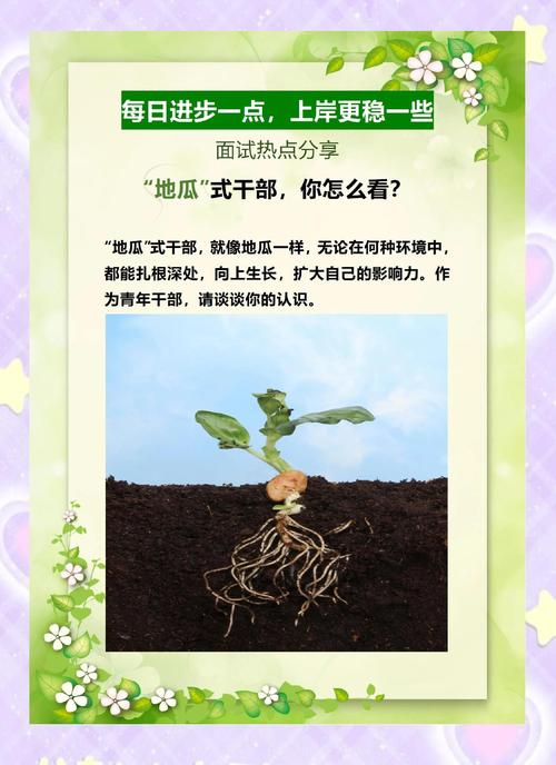 榴莲丝瓜草莓向日葵高效种植技巧：4大科学管理法实现产量翻倍