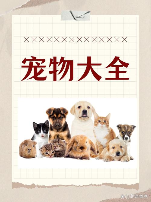 萌宠短视频工具 vs 宠物互动社区：如何选择更安全的娱乐平台？