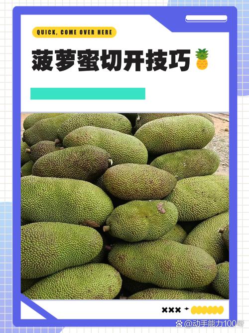 菠萝菠萝蜜视频在线观看的8大隐藏技巧，高清资源免费获取全攻略！