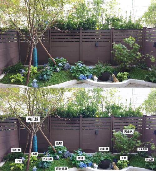 丝瓜草莓芭蕉向日葵混种指南：4种作物庭院搭配的6大增效技巧