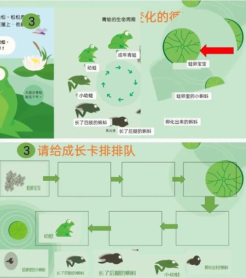 如何通过小蝌蚪秋葵榴莲解锁富二代健康密码？这些隐藏细节你了解吗？