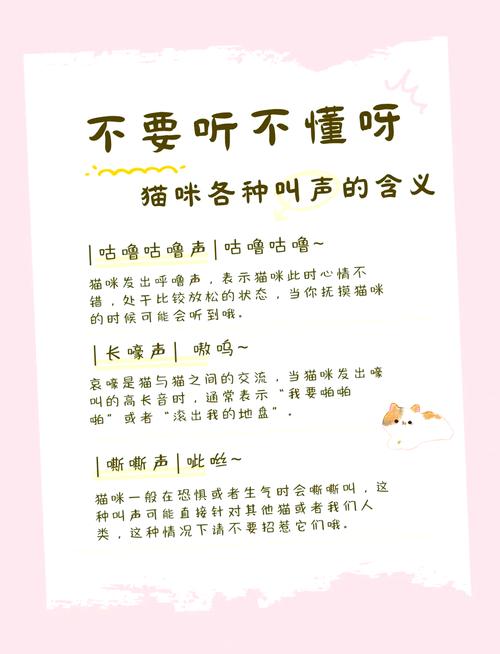 咪呀语音app深度解析：3大核心优势如何解决声音社交痛点？