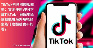零基础玩转TikTok国际版：从入门到创作的完整社交指南（附全球热门玩法解析）