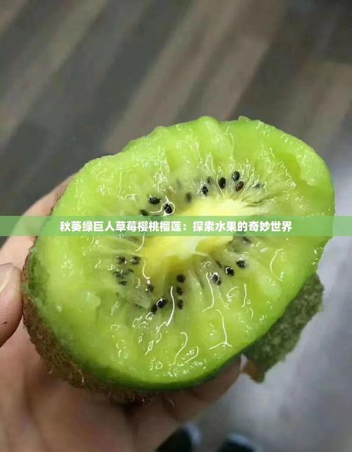 草莓樱桃丝瓜绿巨人秋葵榴莲短视频拍摄技巧：新手必学的爆款视频创作秘籍