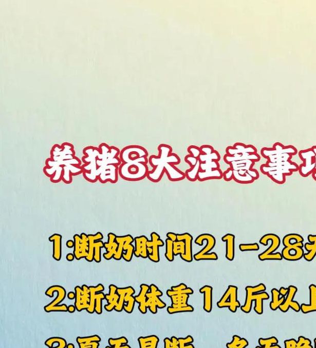 如何免费无限次观看小猪视频？安全使用指南与风险解析