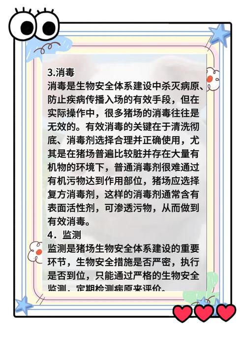 如何免费无限次观看小猪视频？安全使用指南与风险解析