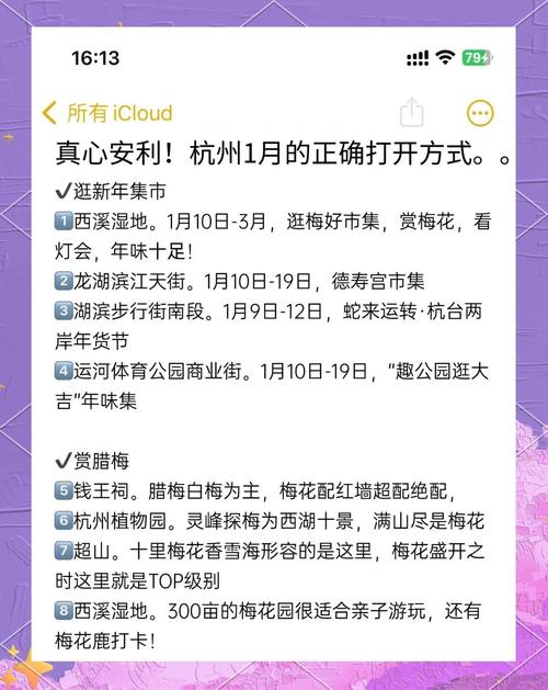 梅花APP推广码获取全攻略：独家渠道与隐藏福利深度解析