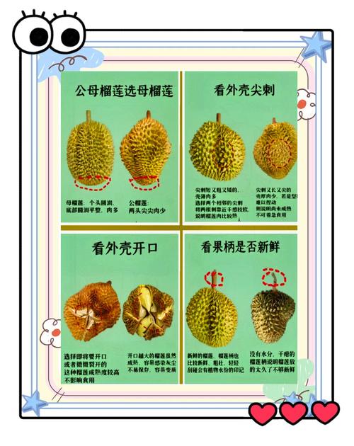 幸福宝导航草莓榴莲资源整合：5大实用技巧助你高效获取优质内容