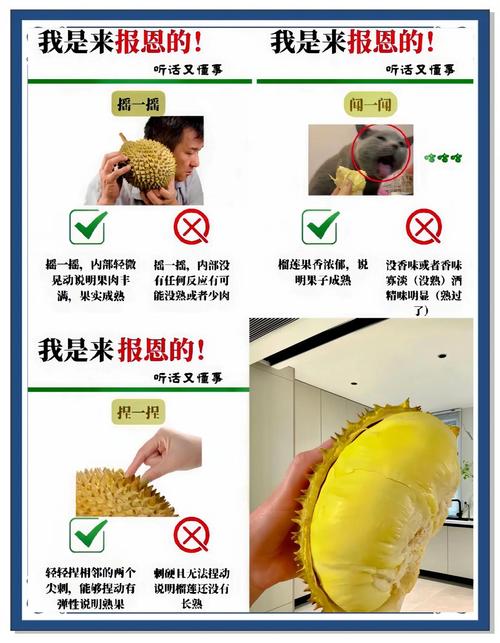 幸福宝导航草莓榴莲资源整合：5大实用技巧助你高效获取优质内容