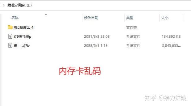 新一本大道卡一卡二卡三乱码免费获取 vs 官方正版授权：哪种方式更安全高效？