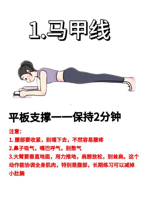 高效燃脂的72式健身动作解析：流汗秘籍助你轻松塑形