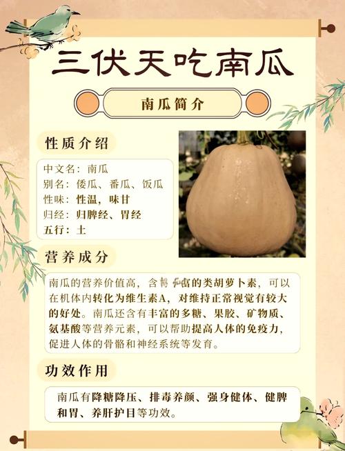 揭秘南瓜视频107766的10大隐藏功能：资深用户必看的高效使用指南