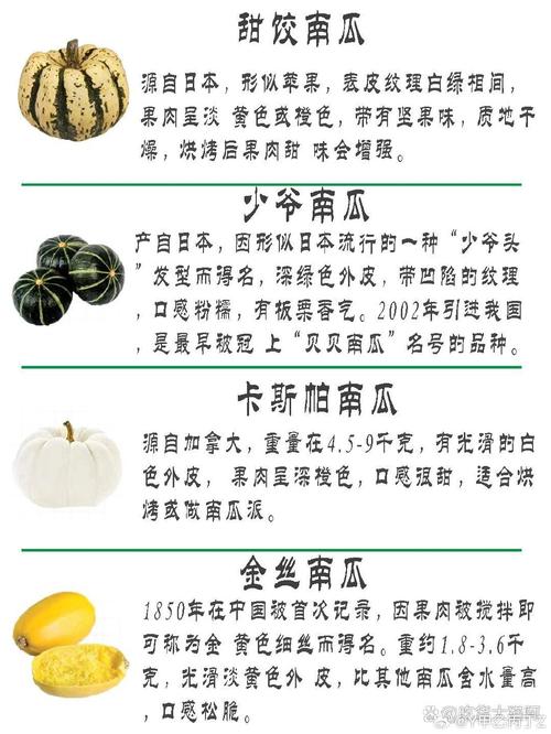 揭秘南瓜视频107766的10大隐藏功能：资深用户必看的高效使用指南