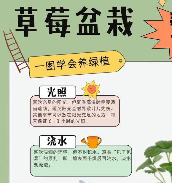 如何在家高效种植草莓、丝瓜、向日葵？揭秘榴莲App上的12个实用养护技巧