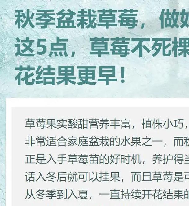 如何在家高效种植草莓、丝瓜、向日葵？揭秘榴莲App上的12个实用养护技巧