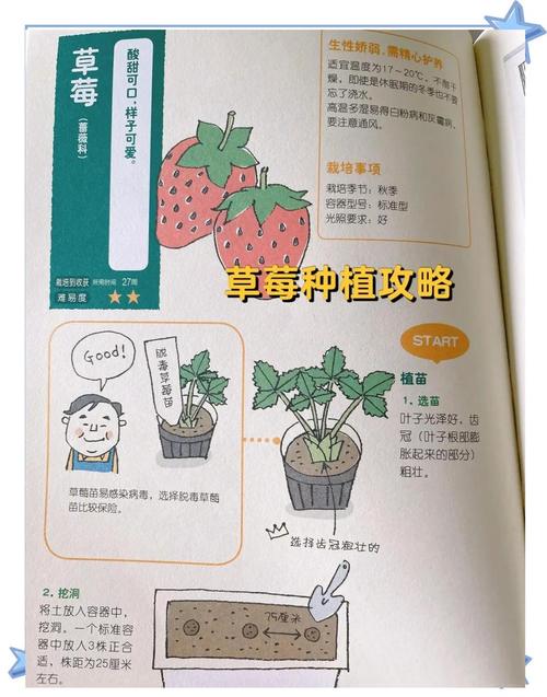 小蝌蚪草莓樱桃丝瓜绿巨人种植全攻略：家庭阳台高效培育技巧与高产秘诀解析