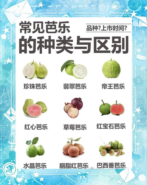 榴莲草莓丝瓜茄子芭乐如何搭配更健康？小蝌蚪种植法揭秘家庭园艺新趋势