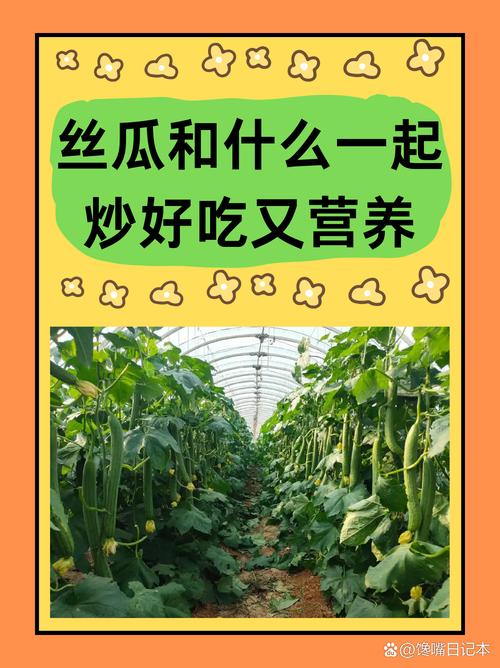 家庭种植丝瓜草莓 vs 芭乐黄瓜组合：免费版果蔬栽培与小猪鸭脖美食搭配全攻略