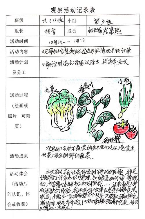 家庭种植丝瓜草莓 vs 芭乐黄瓜组合：免费版果蔬栽培与小猪鸭脖美食搭配全攻略
