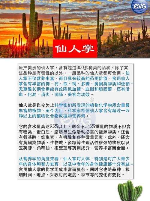 为何你的项目急需仙人掌1.免费版？这3大核心功能彻底改变运营效率