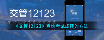 揭秘驾考成绩查询神器：这个小功能竟让百万考生直呼太方便？