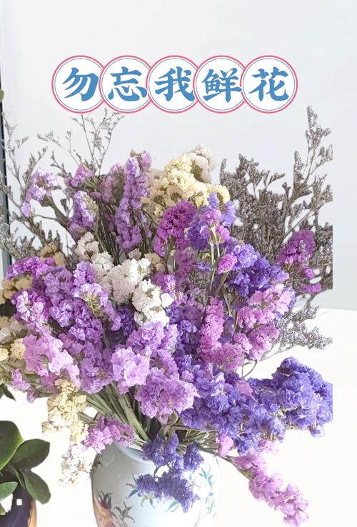 10大权威专家推荐的勿忘我在线视频M高清资源获取技巧:新手必看的实用指南 10大权威专家推荐的勿忘我在线视频M高清资源获取技巧:新手必看的实用指南