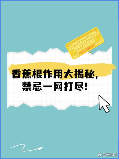 香蕉视频隐藏功能大揭秘:解锁高清资源与观影技巧全攻略 香蕉视频隐藏功能大揭秘:解锁高清资源与观影技巧全攻略