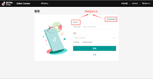 如何快速登录TikTok官网？掌握这些技巧解锁全球创意内容！