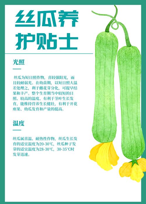 丝瓜黄瓜甜瓜绿巨人免费版种植技术解析：3大核心优势助力高效栽培