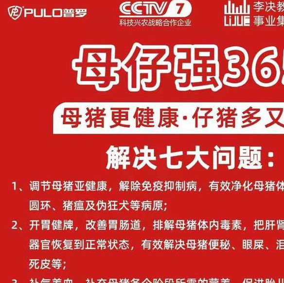 磁力猪3大核心功能解析：5个高效资源搜索技巧与避坑指南