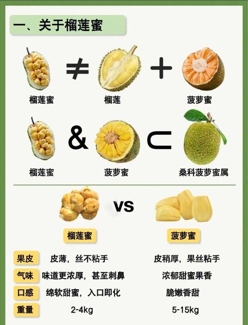 草莓秋葵菠萝蜜榴莲茄子视频深度解析：揭秘健康美食视频创作的高效解决方案