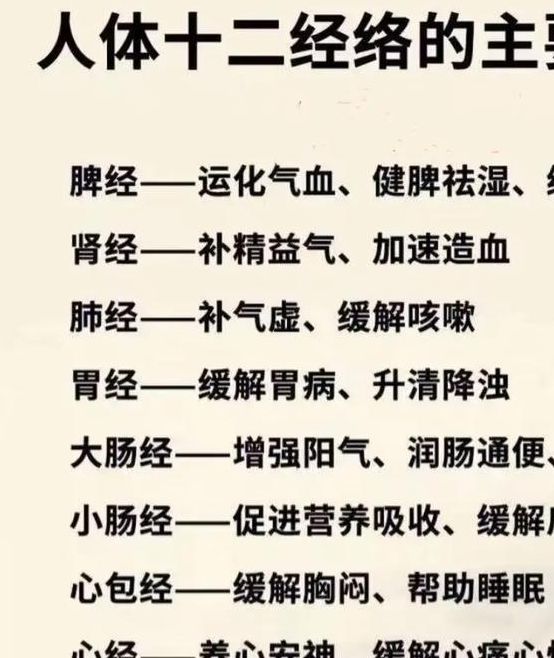 你真的了解玉蒲心经中的养生智慧吗？这3大误区要警惕！