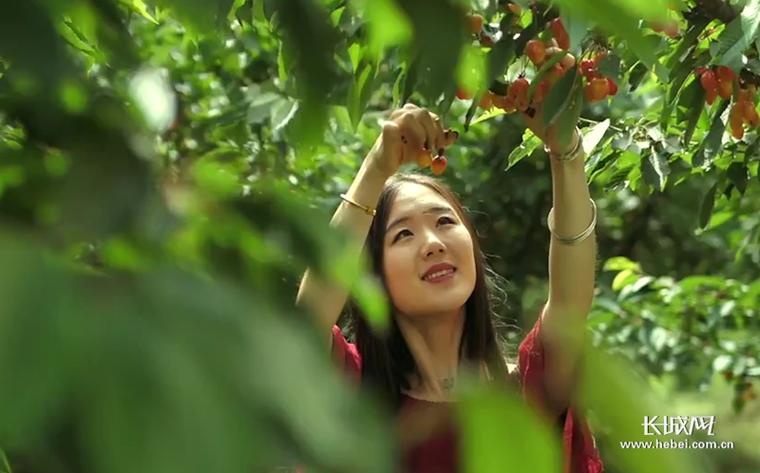 樱桃在线看免费观看视频的隐藏优势：3个高效追剧技巧大揭秘