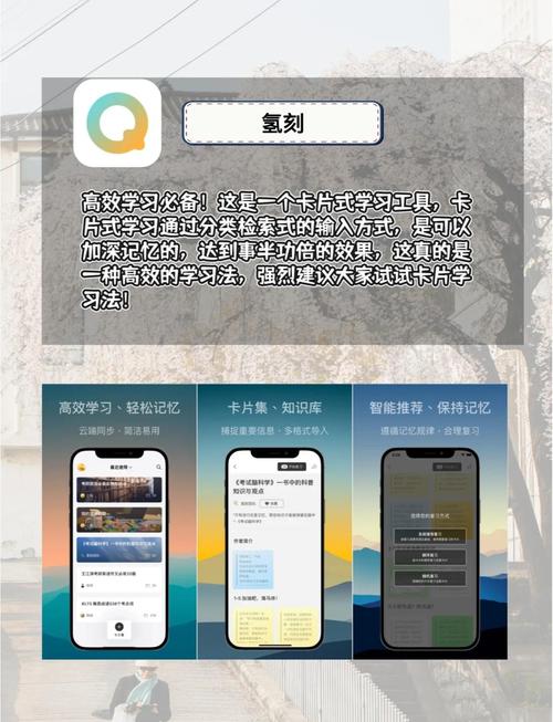 丝瓜向日葵草莓小猪鸭脖app隐藏功能大揭秘：如何用它日省3小时提升生活效率？