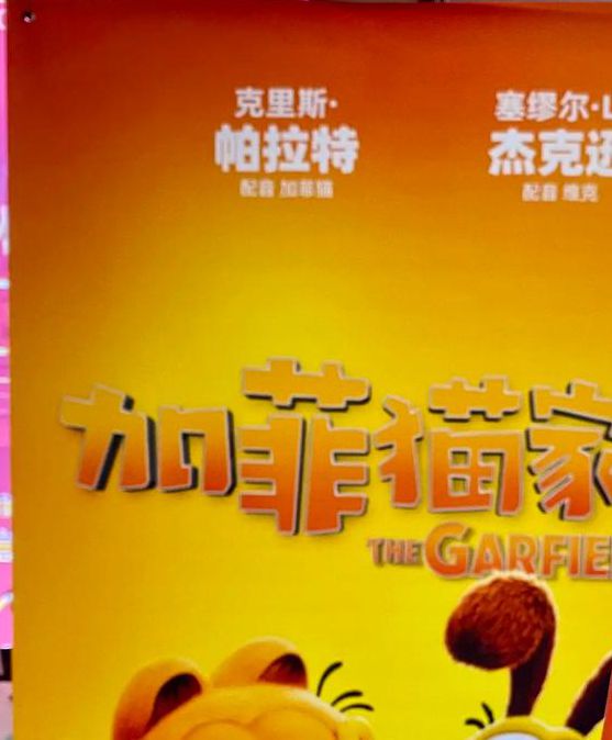 加菲猫影视会员特权版 vs 免费版：高性价比观影方案如何选？独家权益对比分析