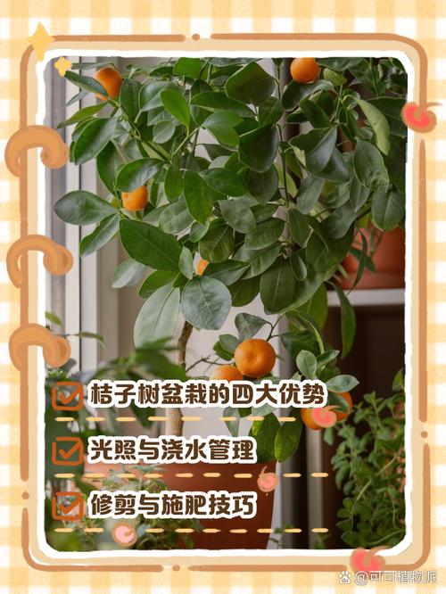 5个让橘子盆栽颜值翻倍的养护技巧，新手也能轻松上手