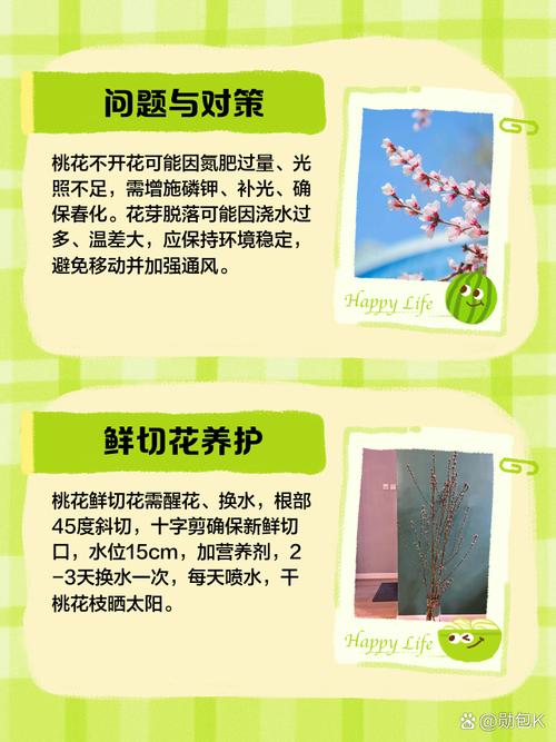 妈妈的桃花源高效解决方案：如何打造家庭疗愈花园？3大核心技巧揭秘