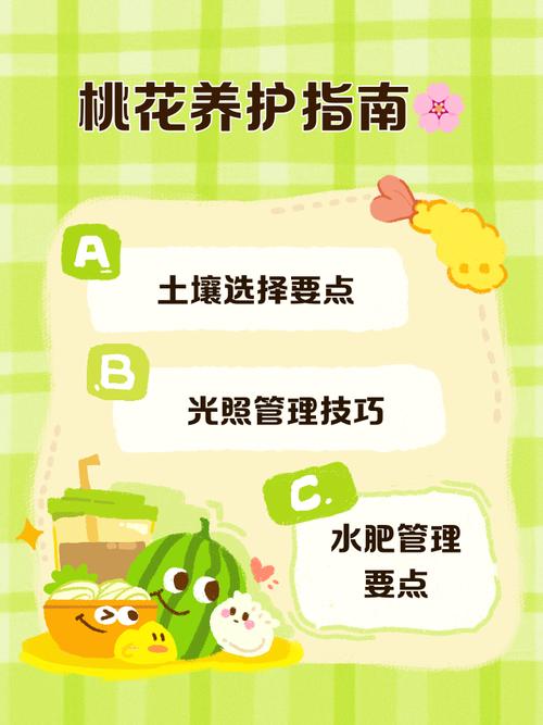 妈妈的桃花源高效解决方案：如何打造家庭疗愈花园？3大核心技巧揭秘