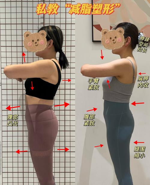 健身教程对比舞蹈课程：哪种女性塑形方式更高效？附赠专业教学资源包