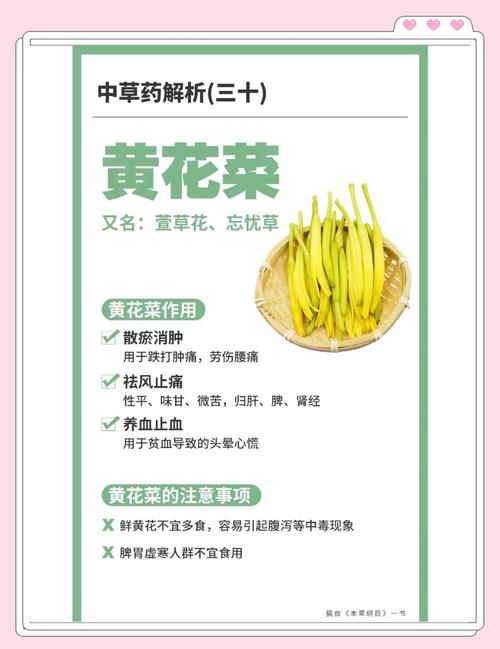 新忘忧草的核心竞争力:3个不可替代的独特优势解析 新忘忧草的核心竞争力:3个不可替代的独特优势解析