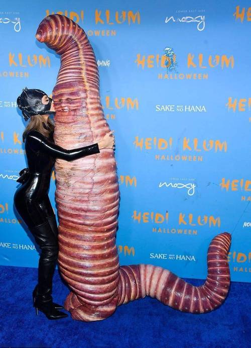 花蝴蝶免费视频高清版官方版:如何畅享流畅观影体验?三大优势深度解析 花蝴蝶免费视频高清版官方版:如何畅享流畅观影体验?三大优势深度解析