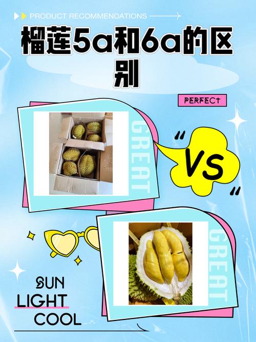 自营推广 vs 幸福宝:榴莲APP用户增长最优解与运营策略深度对比 自营推广 vs 幸福宝:榴莲APP用户增长最优解与运营策略深度对比