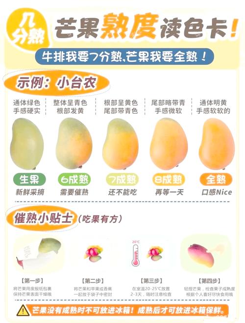 2025精品1区2区3区芒果如何选？产区排名与选购技巧全解析