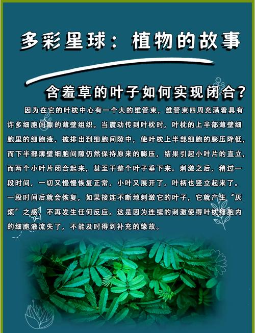 含羞草最新版本隐藏的3个功能:这才是园艺玩家忽略的核心细节! 含羞草最新版本隐藏的3个功能:这才是园艺玩家忽略的核心细节!