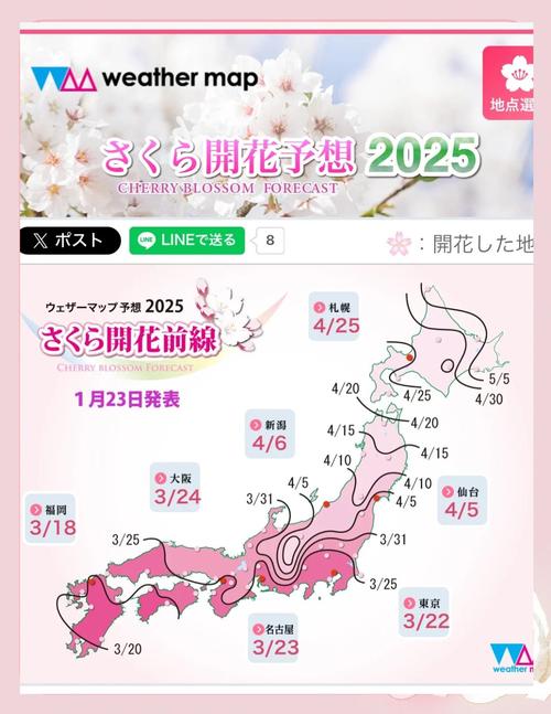 樱花动漫1.2版深度解析：2025最值得体验的10大新功能与隐藏技巧（资深漫迷实测）