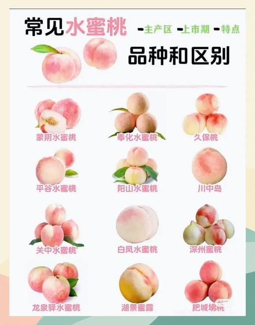 传统种植 vs 科学栽培：水蜜桃实验研究所中心如何用技术提升30%果品效益？